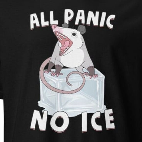 Opossum Says No ICE T-Shirt | Sarcastic Protest Meme - Picture 2 of 3